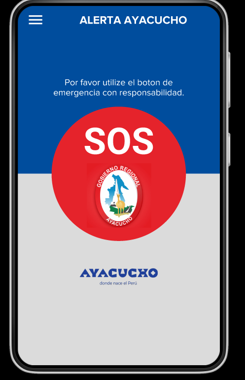 Seguridad Ciudadana pantalla 2